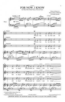 For Now, I Know von Nancy Boone Allsbrook 