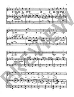 Neue Freuden, neue Schmerzen von Wolfgang Amadeus Mozart 