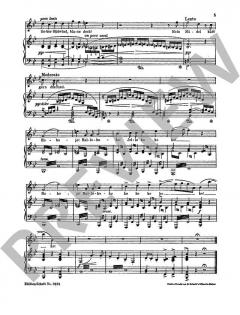 Mit Gewitter und Sturm WWV 63 von Richard Wagner 