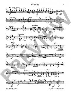 Ungarischer Tanz Nr. 5 von Johannes Brahms 