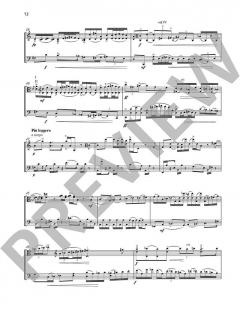 Pocket Concerto von Garth Knox (Download) 