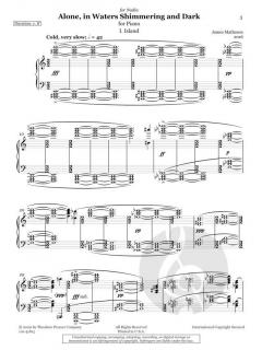 Alone, in Waters Shimmering and Dark von James Matheson 