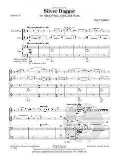 Silver Dagger von Stacy Garrop 