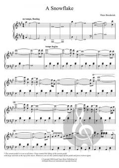 A Snowflake von Peter Broderick (Download) 