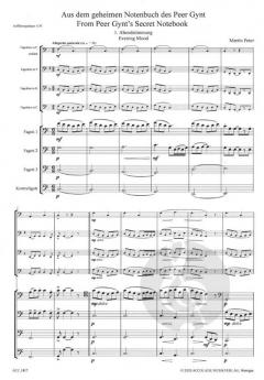 Aus dem geheimen Notenbuch des Peer Gynt nach Edward Grieg von Martin Peter 