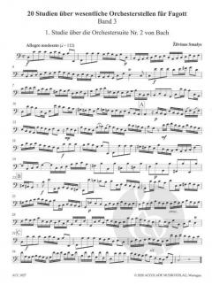 Studien über Orchesterstellen 3: Studien von Zilvinas Smalys 