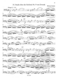 Studien über Orchesterstellen 3: Studien von Zilvinas Smalys 