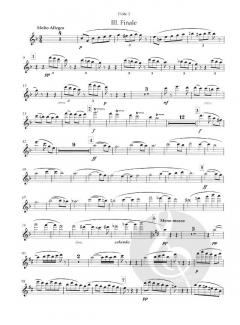 Aus der Werkstatt eines Invaliden von Richard Strauss 