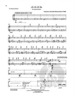 250 Piano Pieces for Beethoven 6 