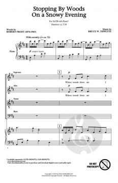 Stopping by Woods on a Snowy Evening von Bruce W. Tippette 