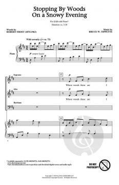 Stopping by Woods on a Snowy Evening von Bruce W. Tippette 