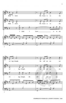 Stopping by Woods on a Snowy Evening von Bruce W. Tippette 