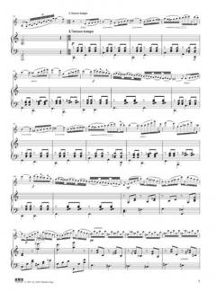 Violinkonzert Nr. 9 A-Moll op. 104 - 1. Satz von Charles-Auguste de Beriot im Alle Noten Shop kaufen