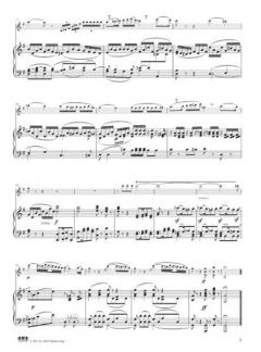 Romanze G-Dur op. 40 von Ludwig van Beethoven 