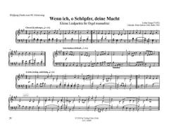 Ausgewählte Werke für Orgel 3: Orgel manualiter von Lothar Graap im Alle Noten Shop kaufen