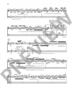 Pocket Concerto von Garth Knox 