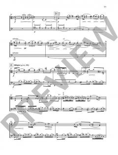 Pocket Concerto von Garth Knox 