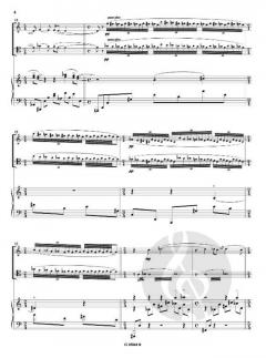 Soleil Noir von Karol Beffa 