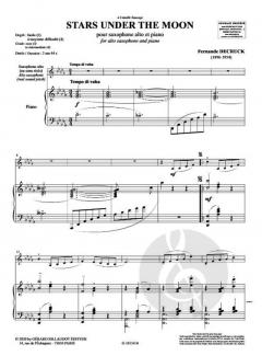 Stars Under The Moon von Fernande Decruck 