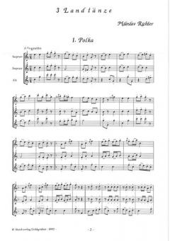 3 Landtänze von Miloslav Richter 