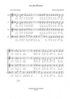 Lieder der Wachau: An der Donau - In der Schenke von Ernst Schandl 