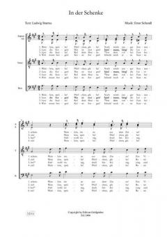 Lieder der Wachau: An der Donau - In der Schenke von Ernst Schandl 