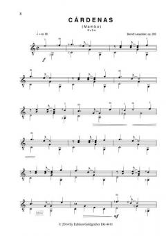 El Guitarrero von Berndt Leopolder 