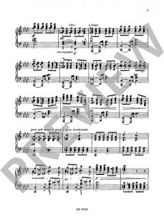 Acht große Konzert-Etüden von Wilhelm Posse 