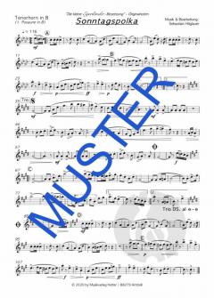 Sonntagspolka von Die kleine Egerländer-Besetzung 