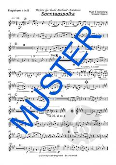 Sonntagspolka von Die kleine Egerländer-Besetzung 