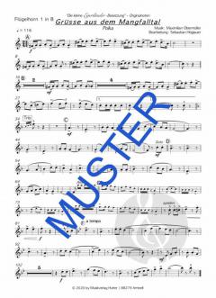 Grüße aus dem Mangfalltal von Die kleine Egerländer-Besetzung 