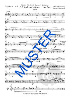 Ich hab geträumt von Dir von Die kleine Egerländer-Besetzung 