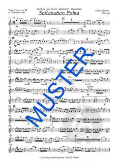 Spitzbuben von Die kleine Egerländer-Besetzung 