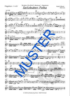 Spitzbuben von Die kleine Egerländer-Besetzung 