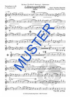 Lebensgefühle von Die kleine Egerländer-Besetzung 