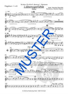 Lebensgefühle von Die kleine Egerländer-Besetzung 