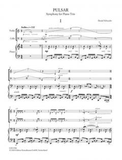 Pulsar von Daniel Schnyder 