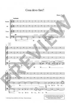 Cosa devo fare? von Peteris Vasks (Download) 