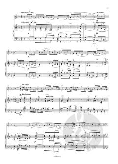 Sonate Nr. 1 a-moll op. 105 von Robert Schumann 