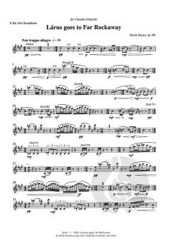Làrus goes to Far Rockaway op. 104 von Derek Edward Healey 
