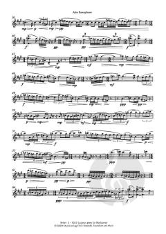 Làrus goes to Far Rockaway op. 104 von Derek Edward Healey 