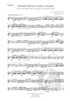 Schafe können sicher weiden BWV 208 Nr. 9 von Johann Sebastian Bach 