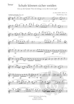 Schafe können sicher weiden BWV 208 Nr. 9 von Johann Sebastian Bach 