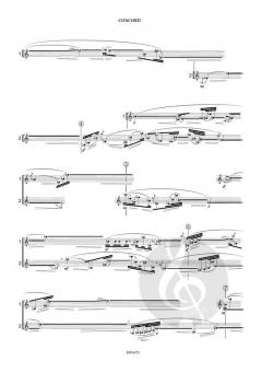Concord von Satoshi Ohmae 
