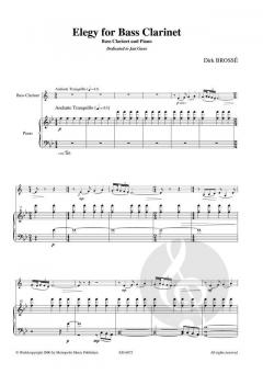 Elegy von Dirk Brossé 