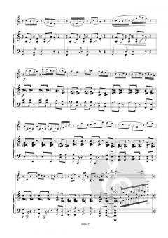 Thrushes in the Forest von Takao Shirakawa 