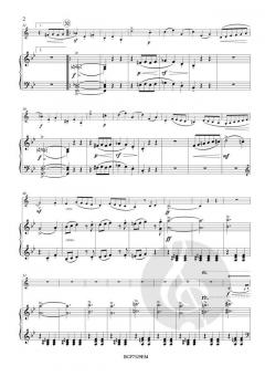 Capriccio op. 14 von Julius Weissenborn 