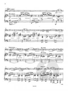 Andante & Allegro op. 23 von Theo Van Doren 