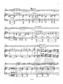 Andante & Allegro op. 23 von Theo Van Doren 