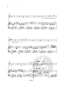 The Legend of the Swamp von Sigrid Schuerweghs 